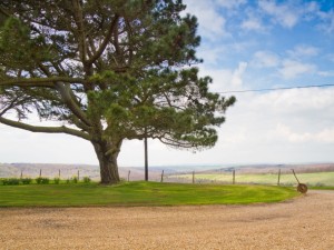 Your view from Friston Downs Cottage