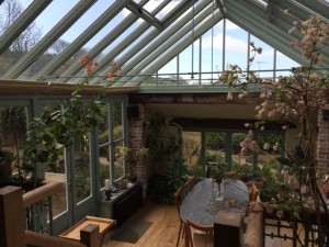 Conservatory for families and friends