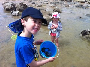 family holidays in eastbourne rockpooling