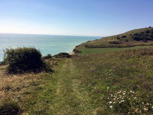 walking trails in the south downs whitbread hollow