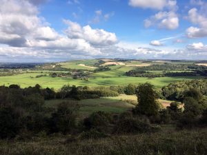 walking trails in the south downs north stoke